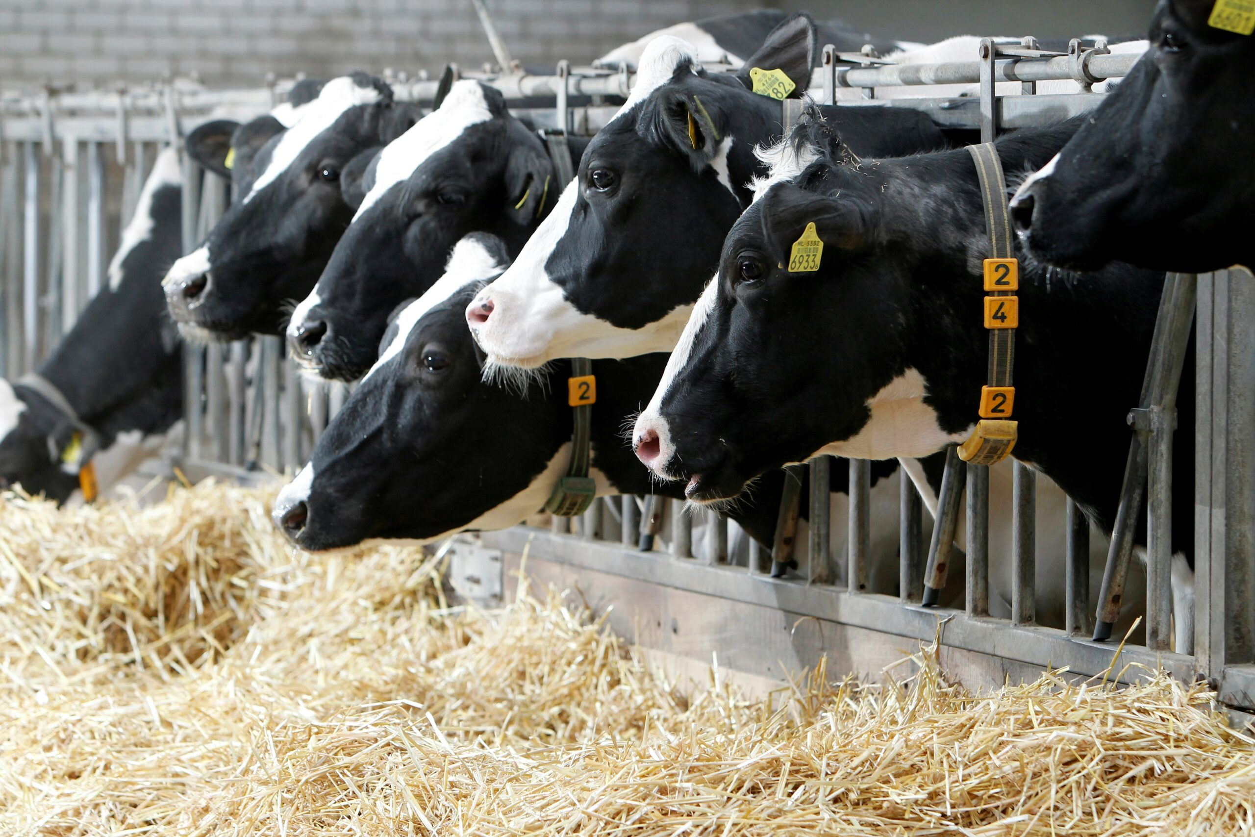 Ілюстративне фото