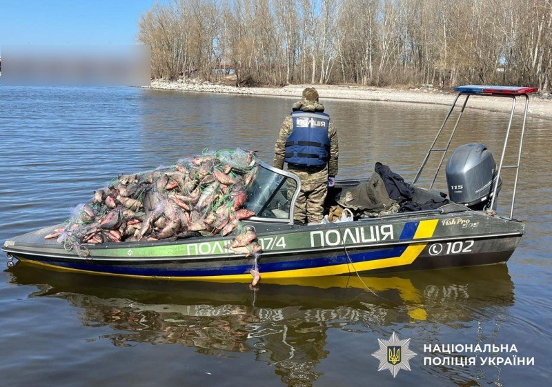 Виявлена риба у Кременчуцькому водосховищі