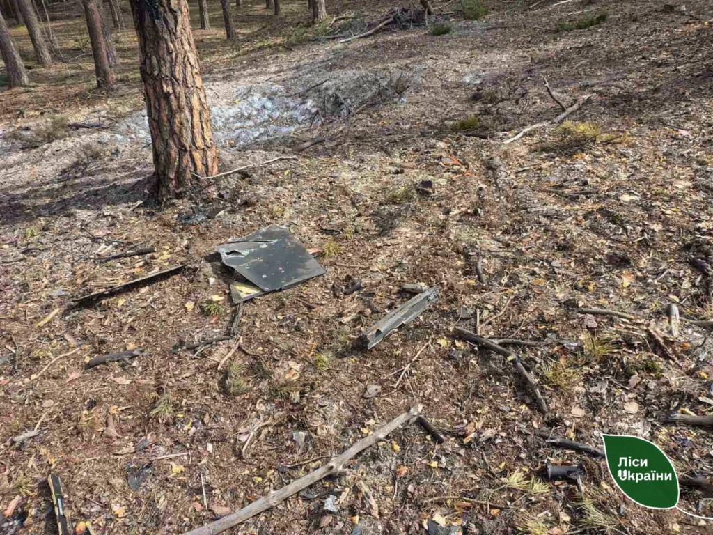 Уламки дрона спричинили лісову пожежу на Полтавщині