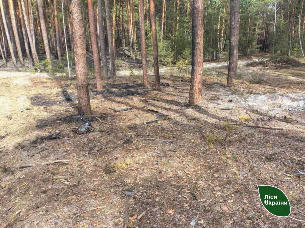 Уламки дрона спричинили лісову пожежу на Полтавщині