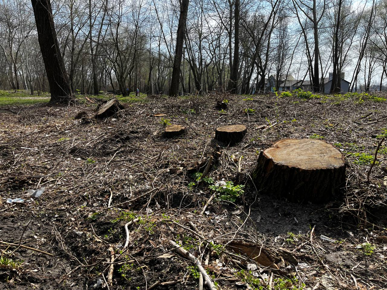 Ілюстративне фото