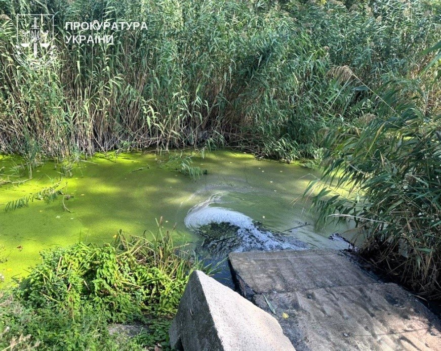 Забруднення річки