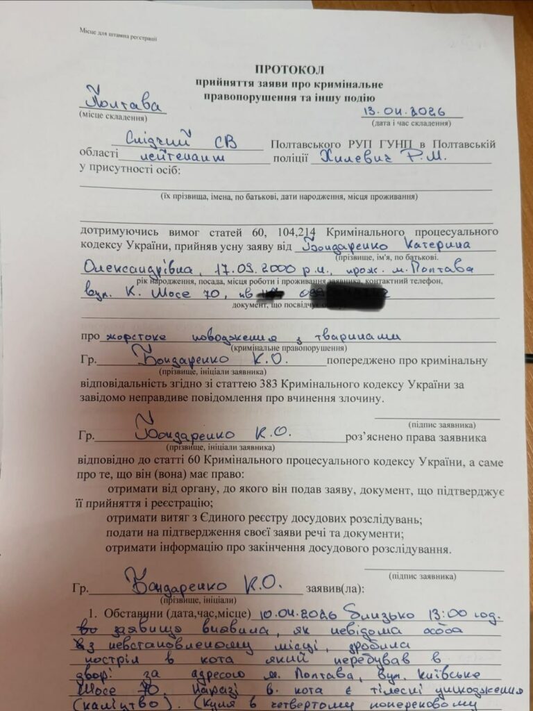 10 квітня у Полтаві стріляли в кота