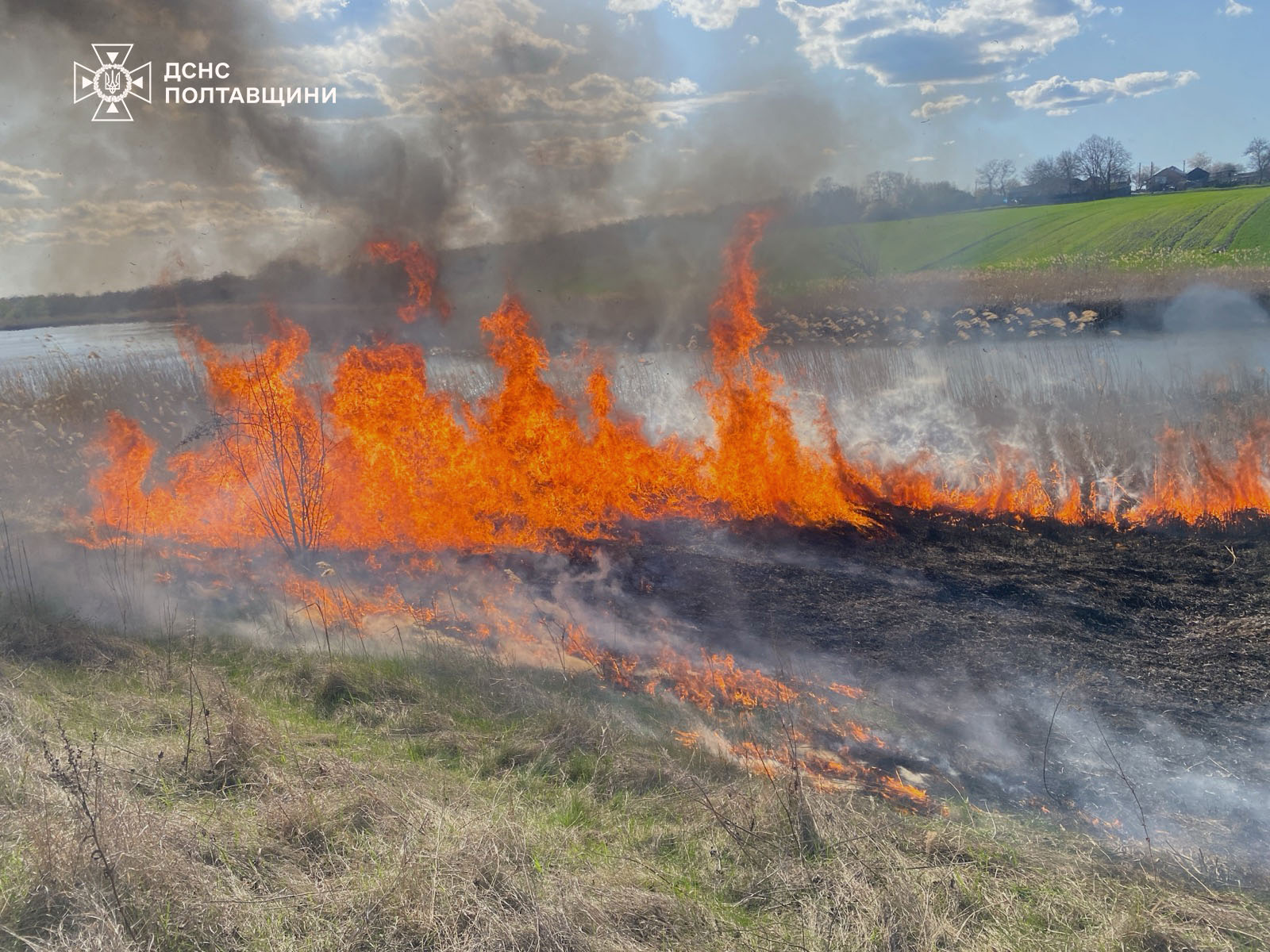 Пожежі на Полтавщині 15 квітня