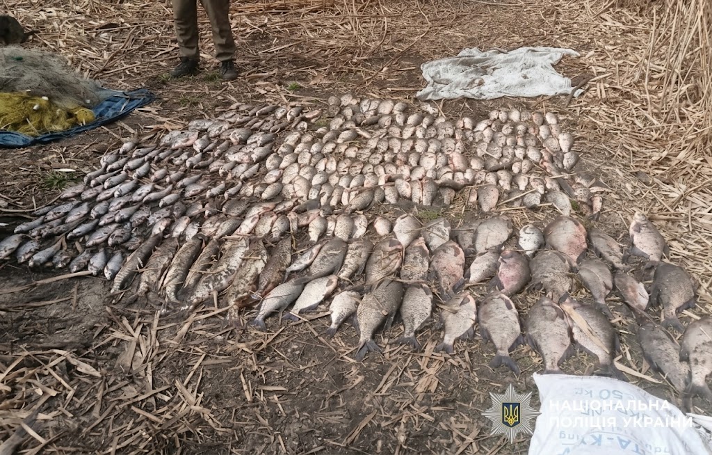 Почали розслідування щодо незаконного вилову риби