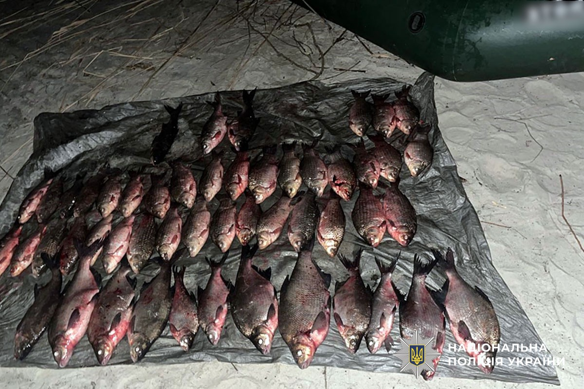 Виловлена риба