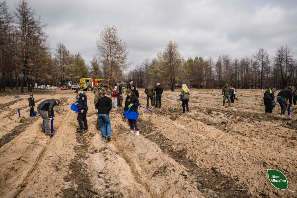 На Полтавщині відновлюють ліс після найбільшої пожежі за останні п’ять років