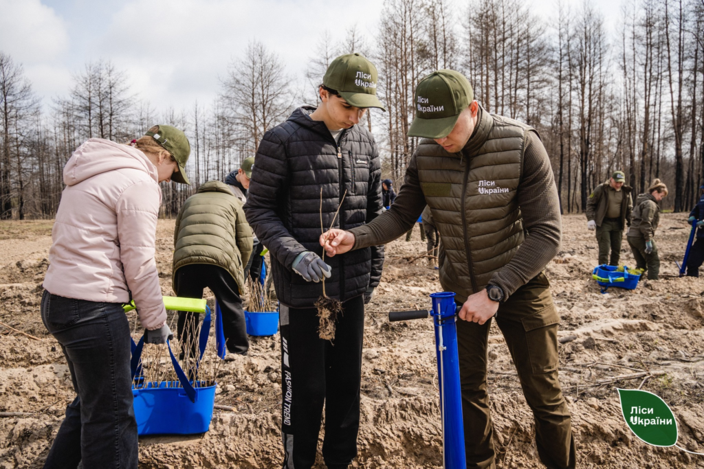 На Полтавщині відновлюють ліс після найбільшої пожежі за останні п’ять років