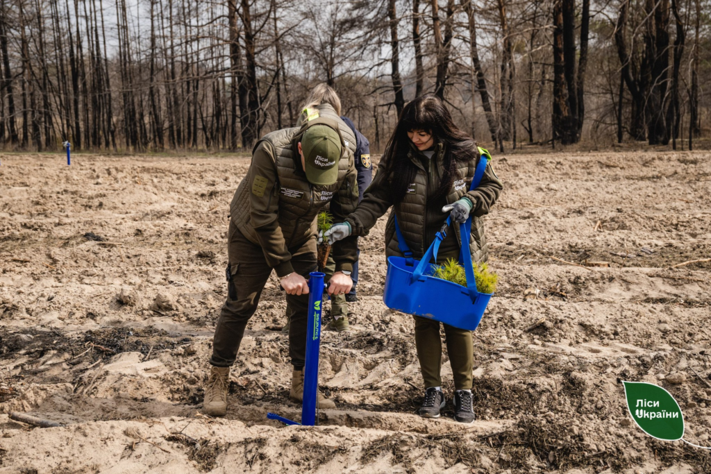 На Полтавщині відновлюють ліс після найбільшої пожежі за останні п’ять років