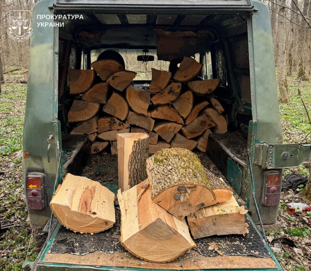 Двох чоловіків у Полтавській громаді підозрюють у незаконній вирубці дубів
