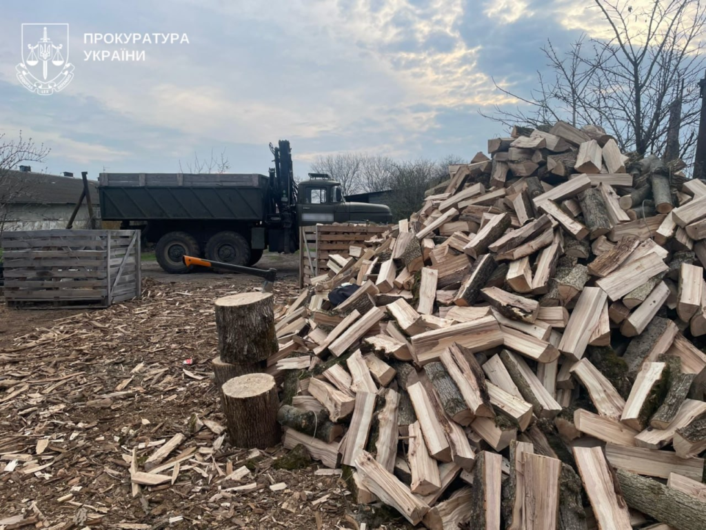 Двох чоловіків у Полтавській громаді підозрюють у незаконній вирубці дубів