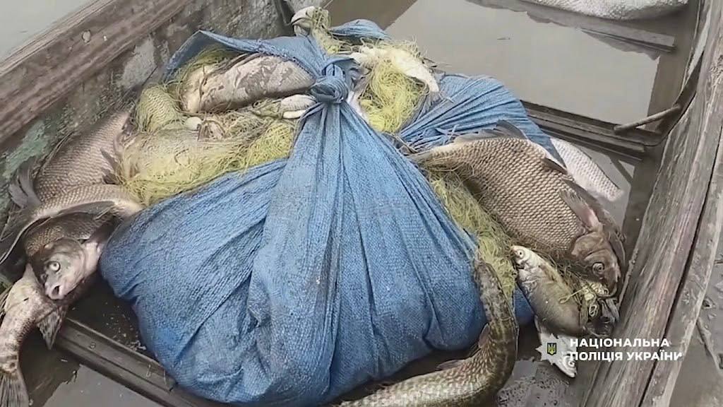 розслідування щодо незаконного вилову риби