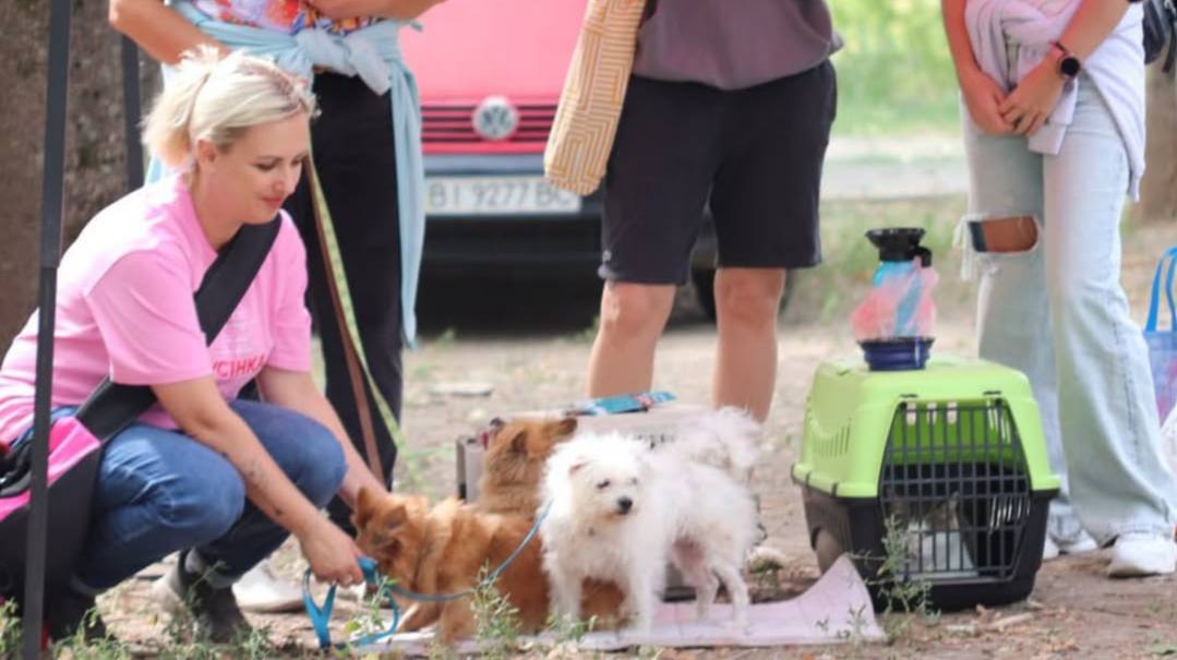 У Полтаві відбудеться благодійний фест на підтр...