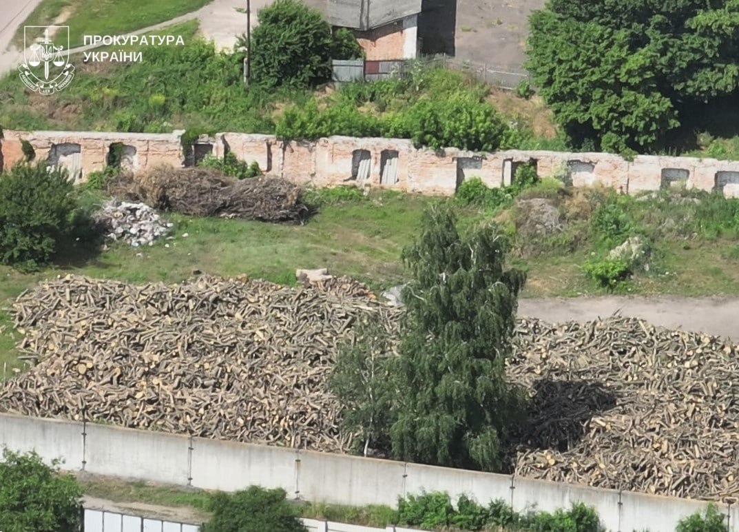 «Чорні лісоруби» завдали Полтавщині майже три м...