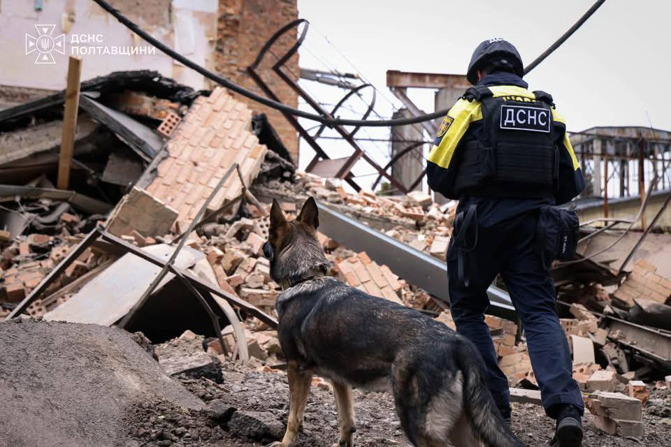 Собак тренуватимуть для пошуку мін на Полтавщині