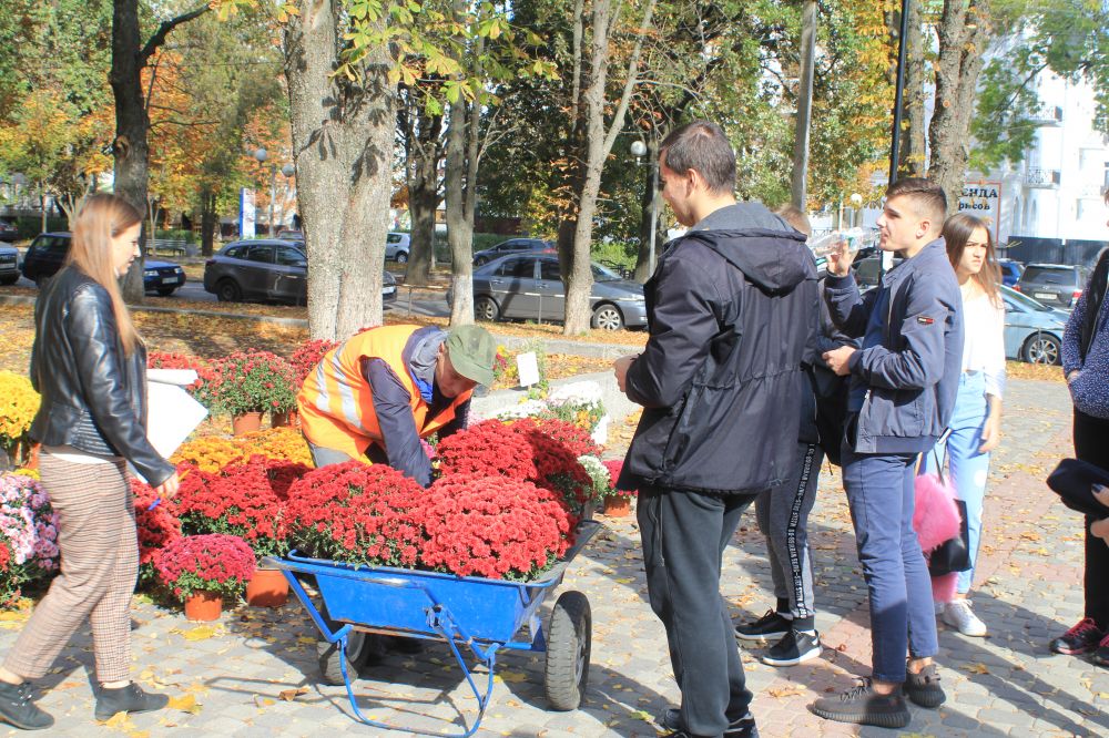 Перший Фестиваль хризантем у Полтаві