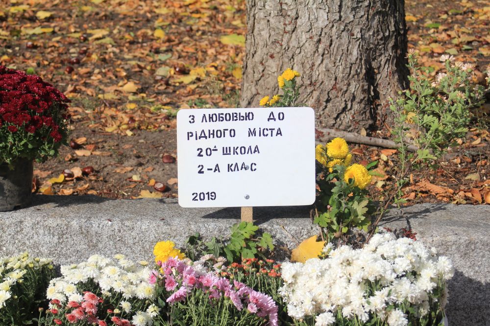 Перший Фестиваль хризантем у Полтаві