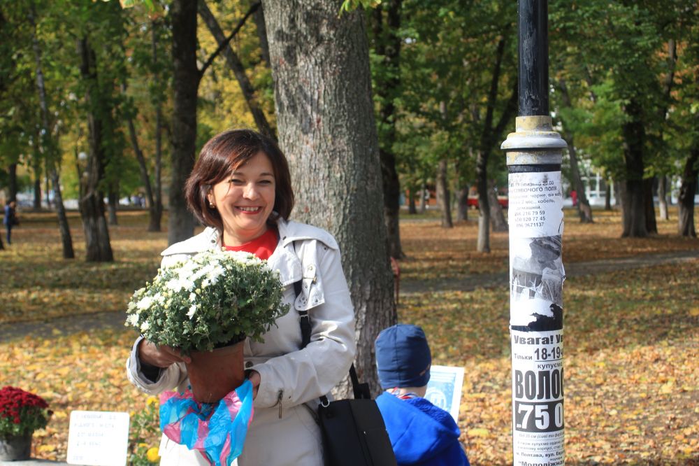 Перший Фестиваль хризантем у Полтаві