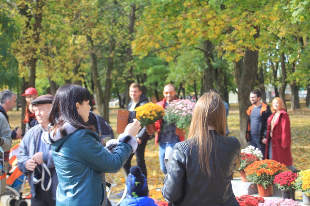 Перший Фестиваль хризантем у Полтаві