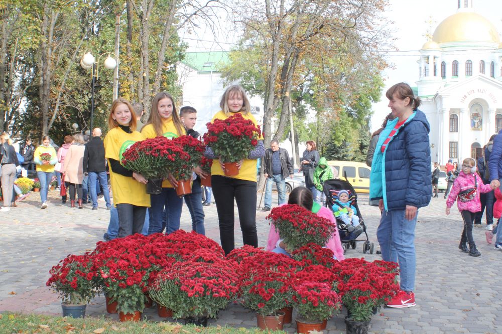 Перший Фестиваль хризантем у Полтаві