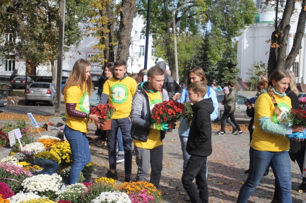 Перший Фестиваль хризантем у Полтаві