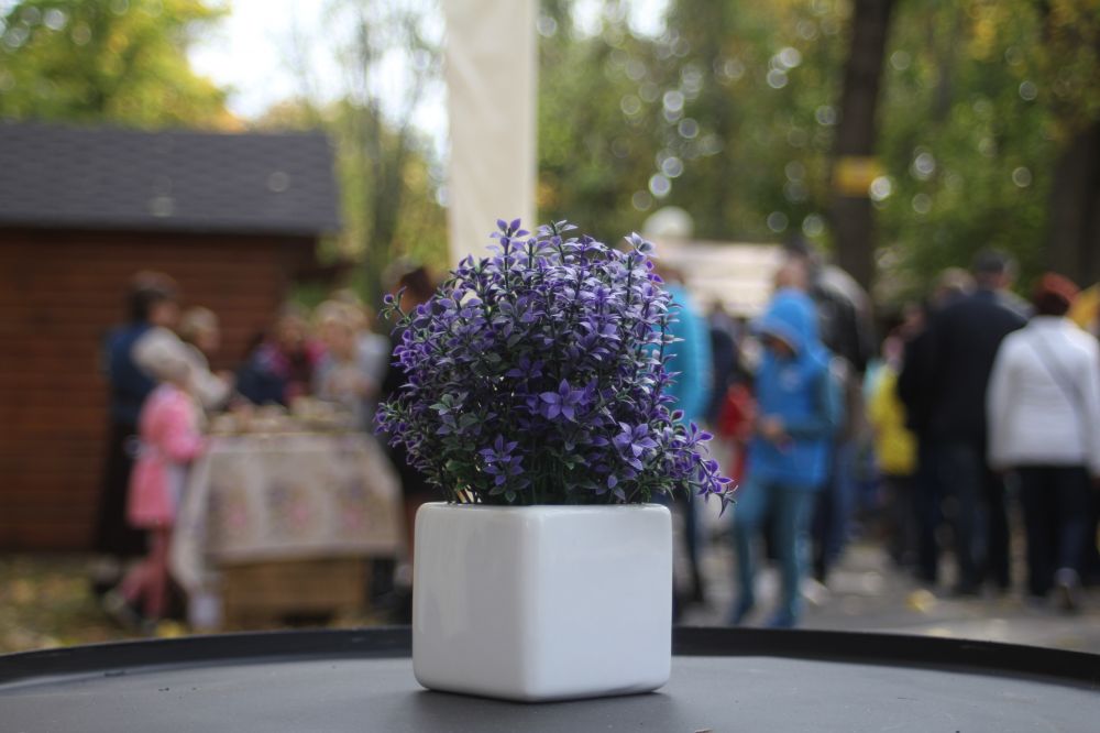 Перший Фестиваль вина та сиру у Полтаві