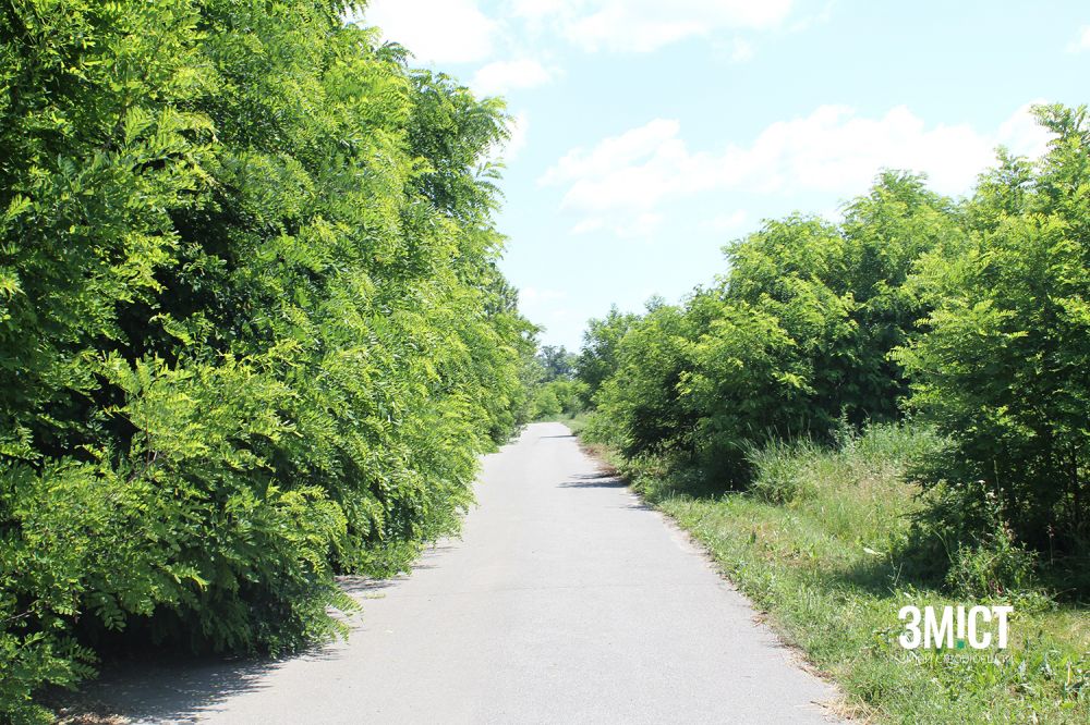 Для прогулянки полем можна замовити тематичну екскурсію