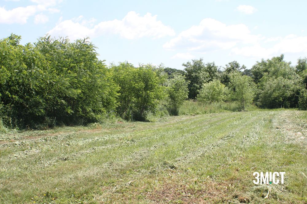Траву на полі викошують і тарктором, і вручну