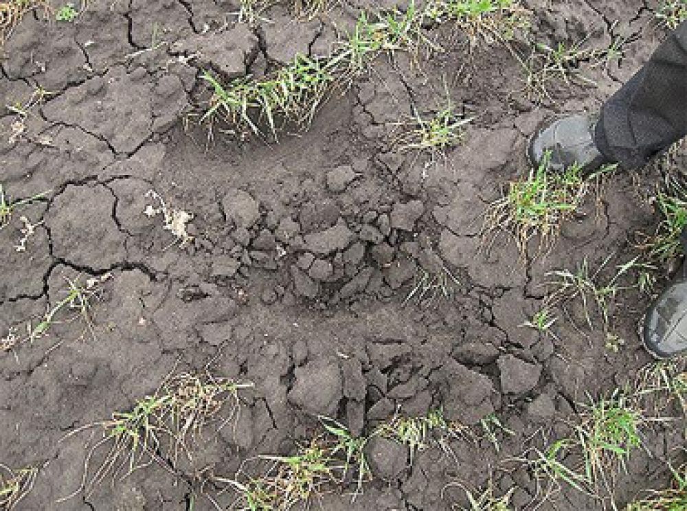 Слід від гелікоптера (ІВ