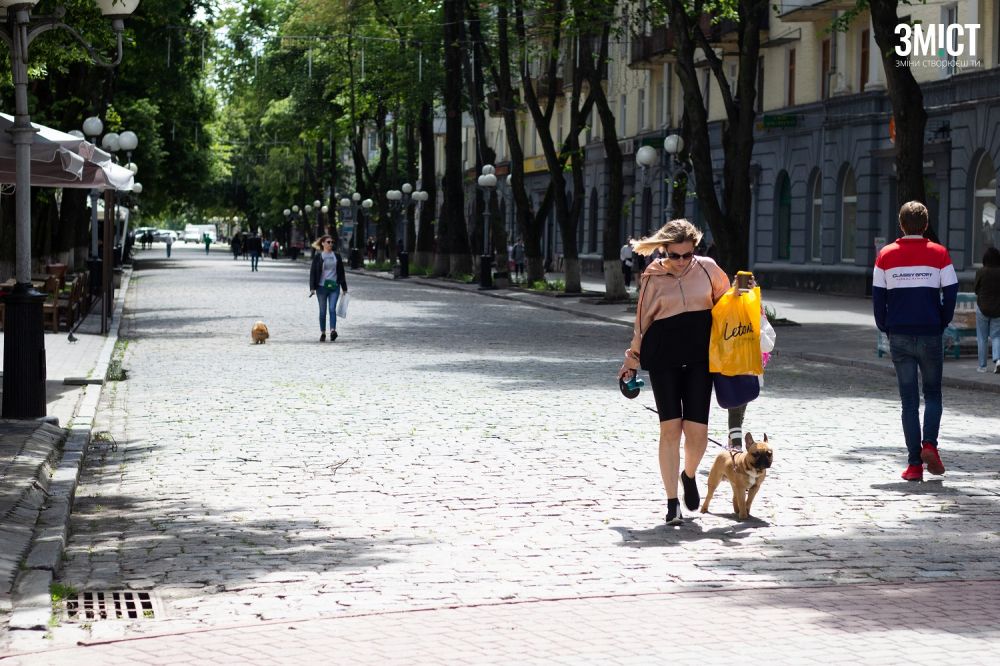 Вулиця Соборності