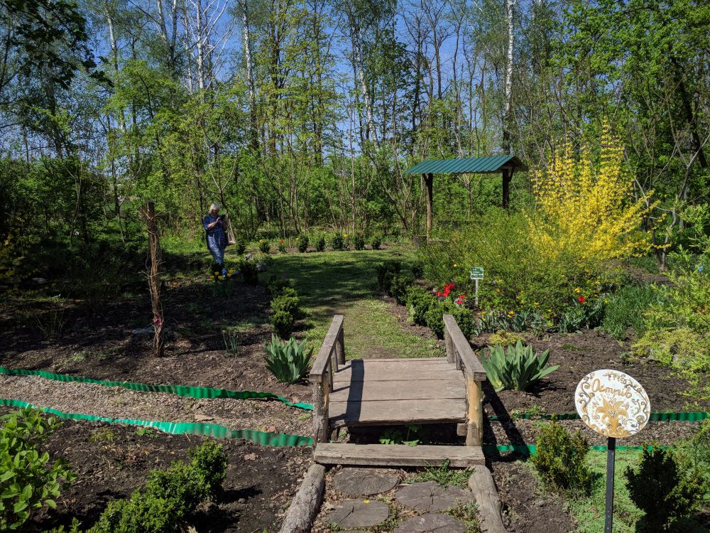 Криворудський дендропарк (Джерело – Вікіпедія)