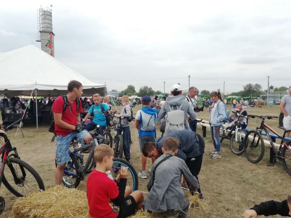 Під Полтавою триває «сливовий» фестиваль