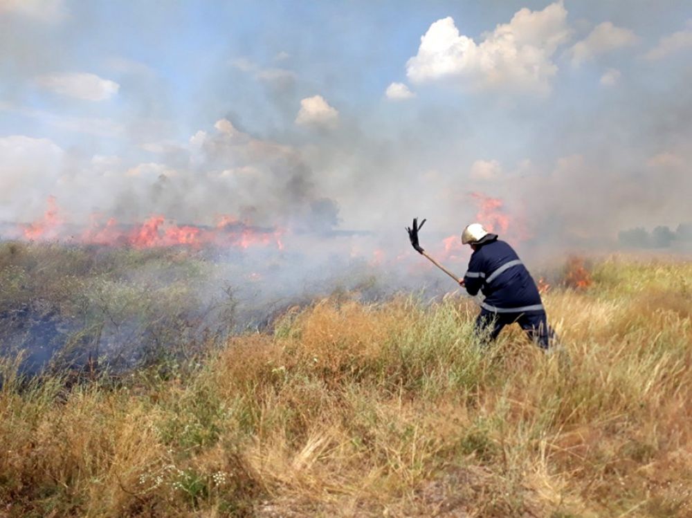 Наслідки масових підпалів (Фото надані пресслужбою Головне управління ДСНС України у Полтавській області)