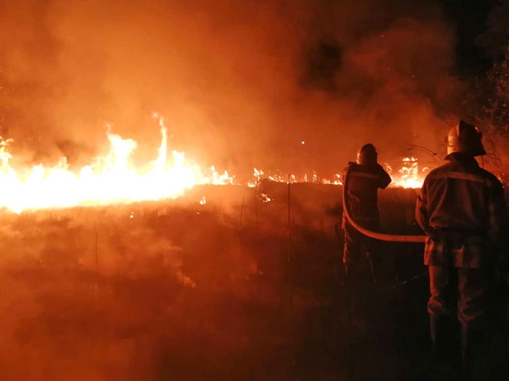 Наслідки масових підпалів (Фото надані пресслужбою Головне управління ДСНС України у Полтавській області)