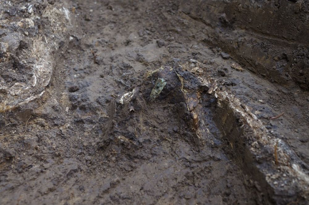 Наконечник стріли у плечових кістках жінки (Джерело – НАН України)