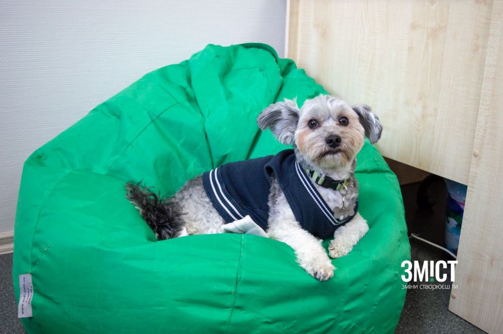 У офісі У кабінеті Антона Фалтинського