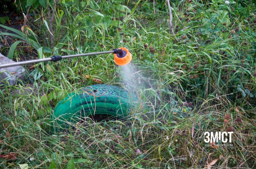Обприскування амброзії