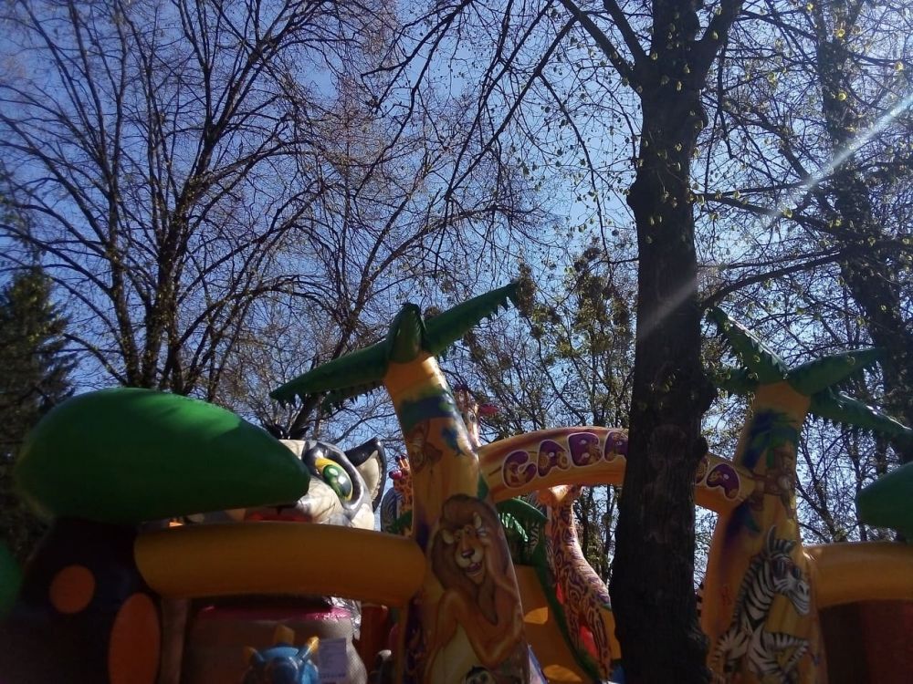 Сухі та хворі гілки над батутами