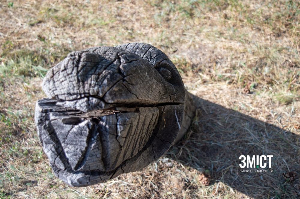 Капище під Полтавою