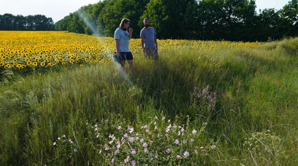 На Полтавщині знімають фільм про археологічну школу. Фото Історико-культурного заповідника «Більськ» 