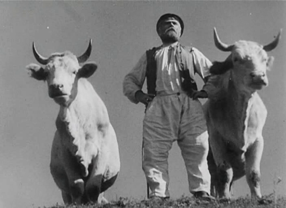 Селянин з волами - антитеза трактору. Кадр із фільму 