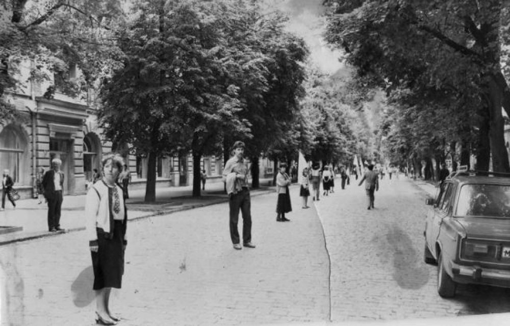 Живий ланцюг на вул. Соборності. Джерело - книга 