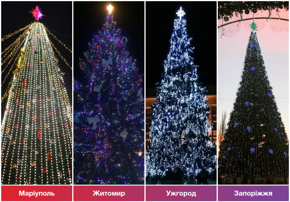 Частина ялинок, що беруть участь у конкурсі (Фото – ukrinform.com)