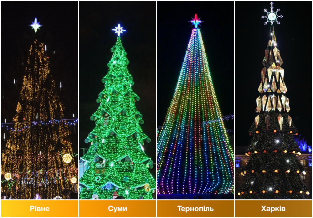 Частина ялинок, що беруть участь у конкурсі (Фото – ukrinform.com)