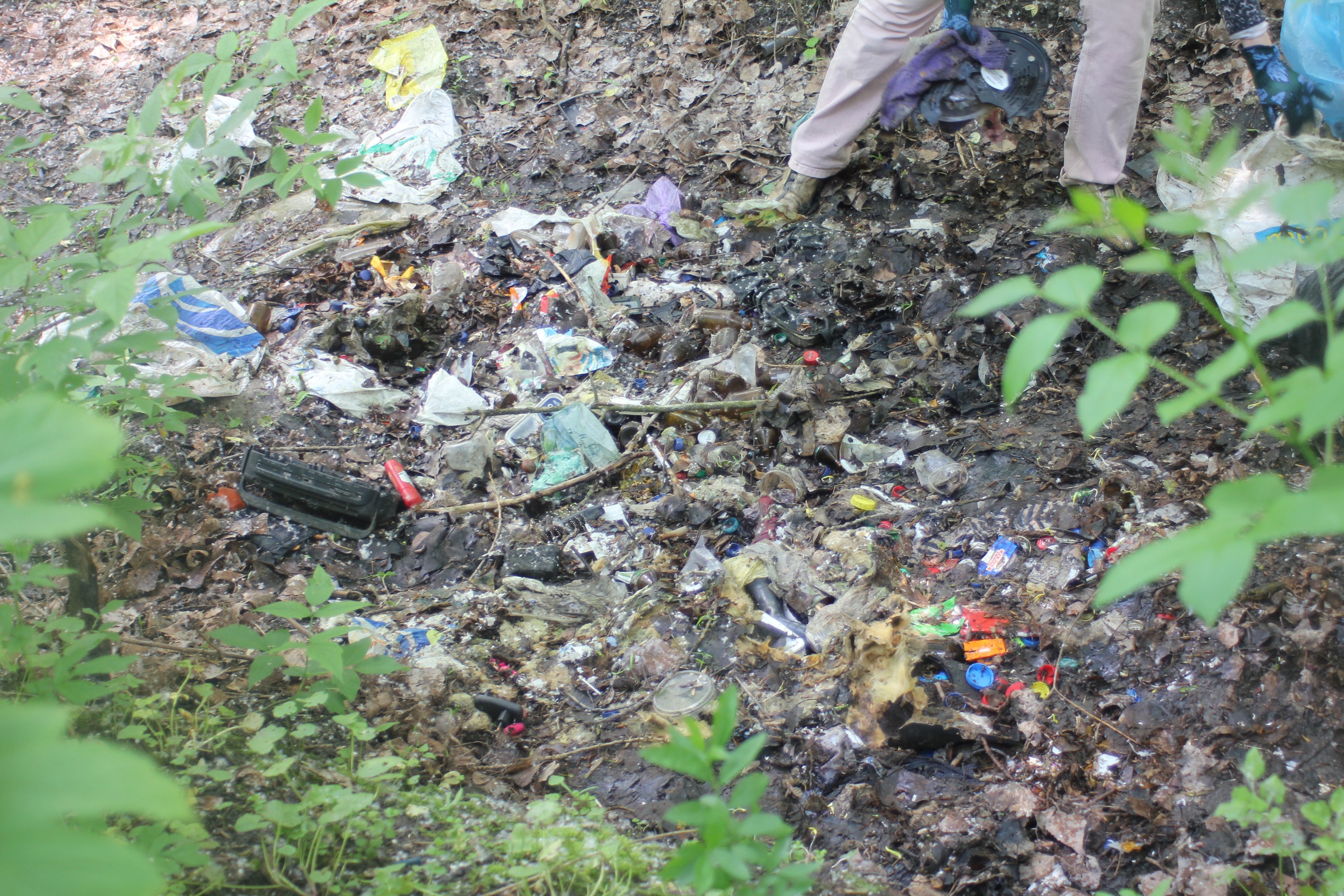 Смітники у парку