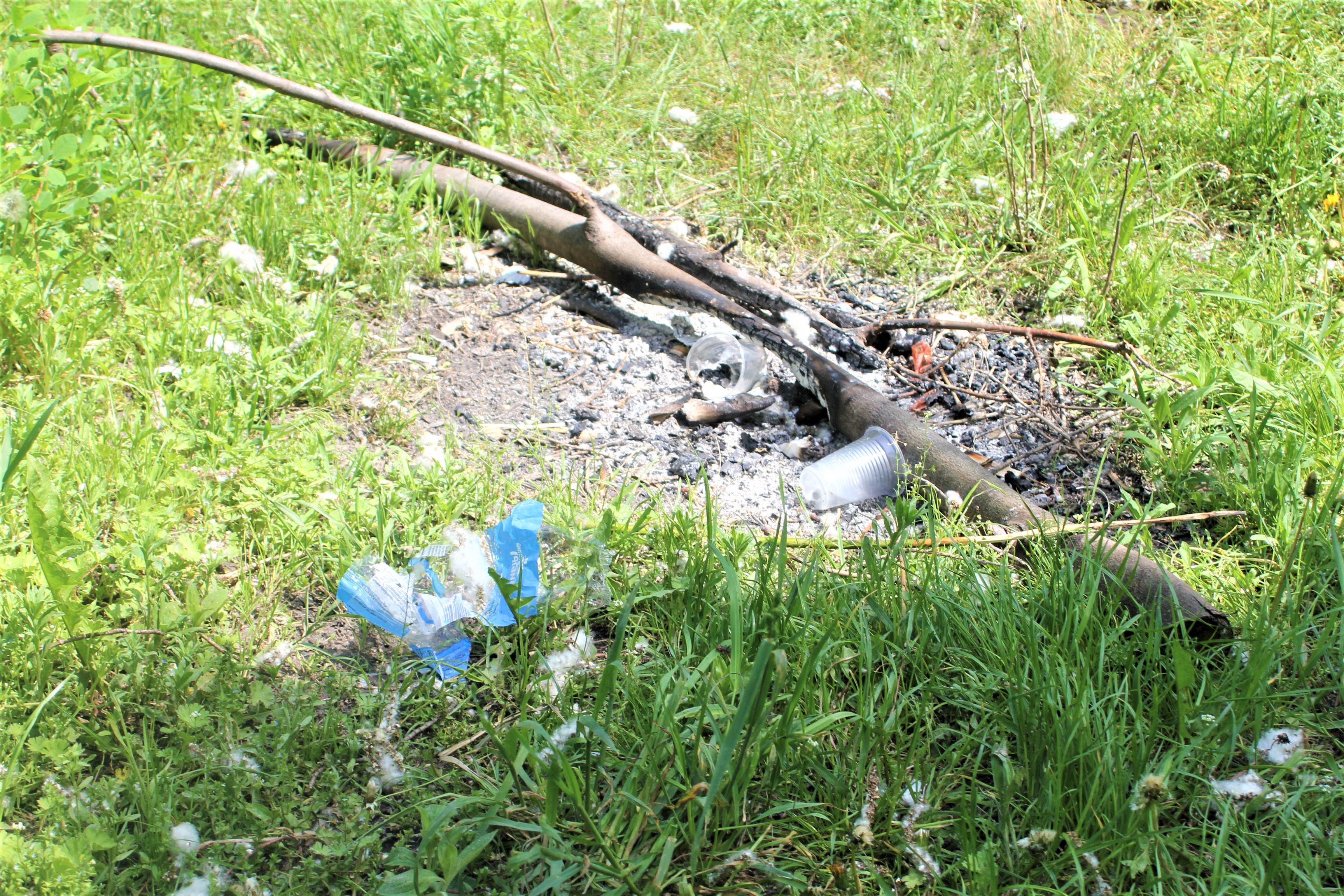 Прирічковий парк після прибирання 