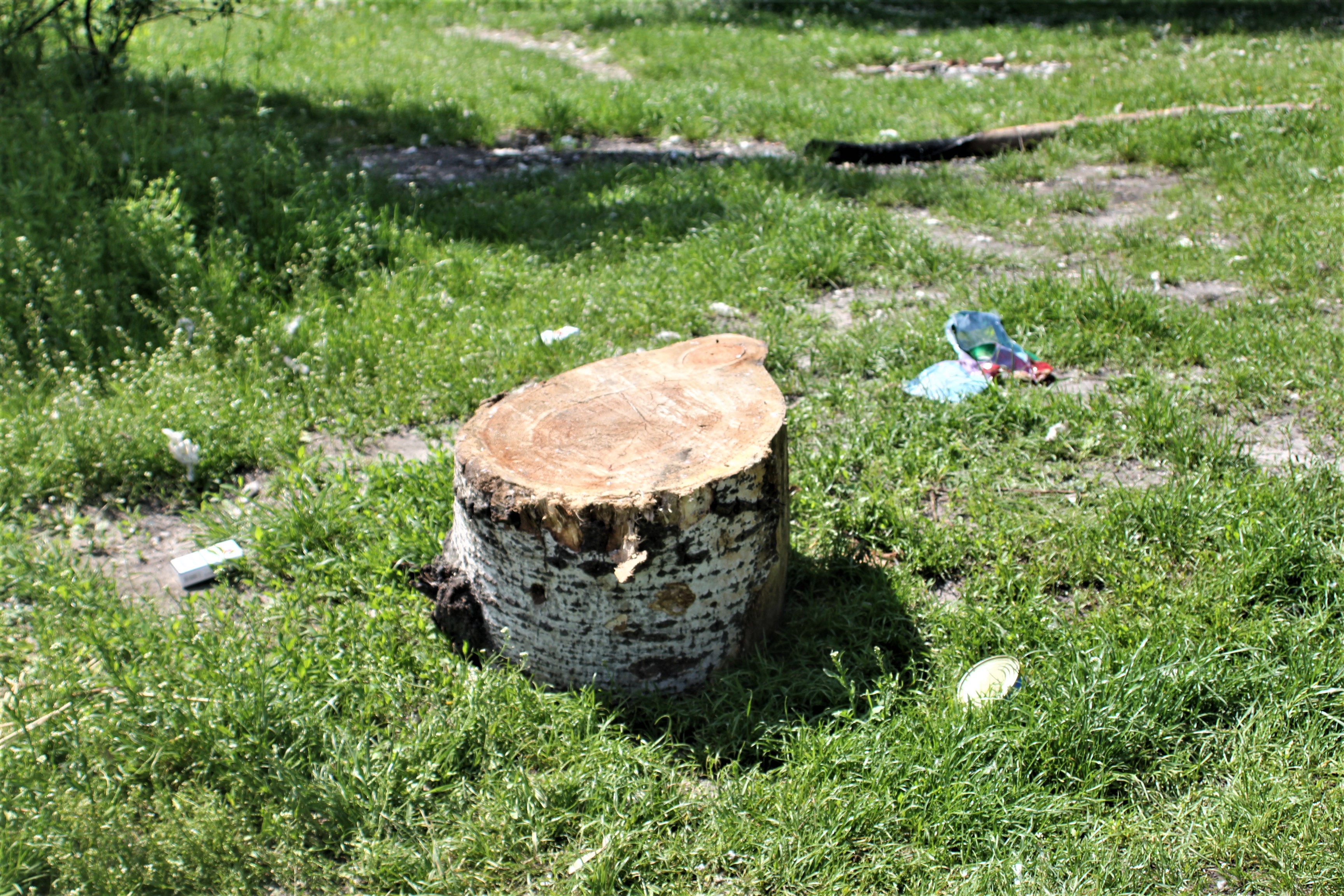 Прирічковий парк після прибирання 