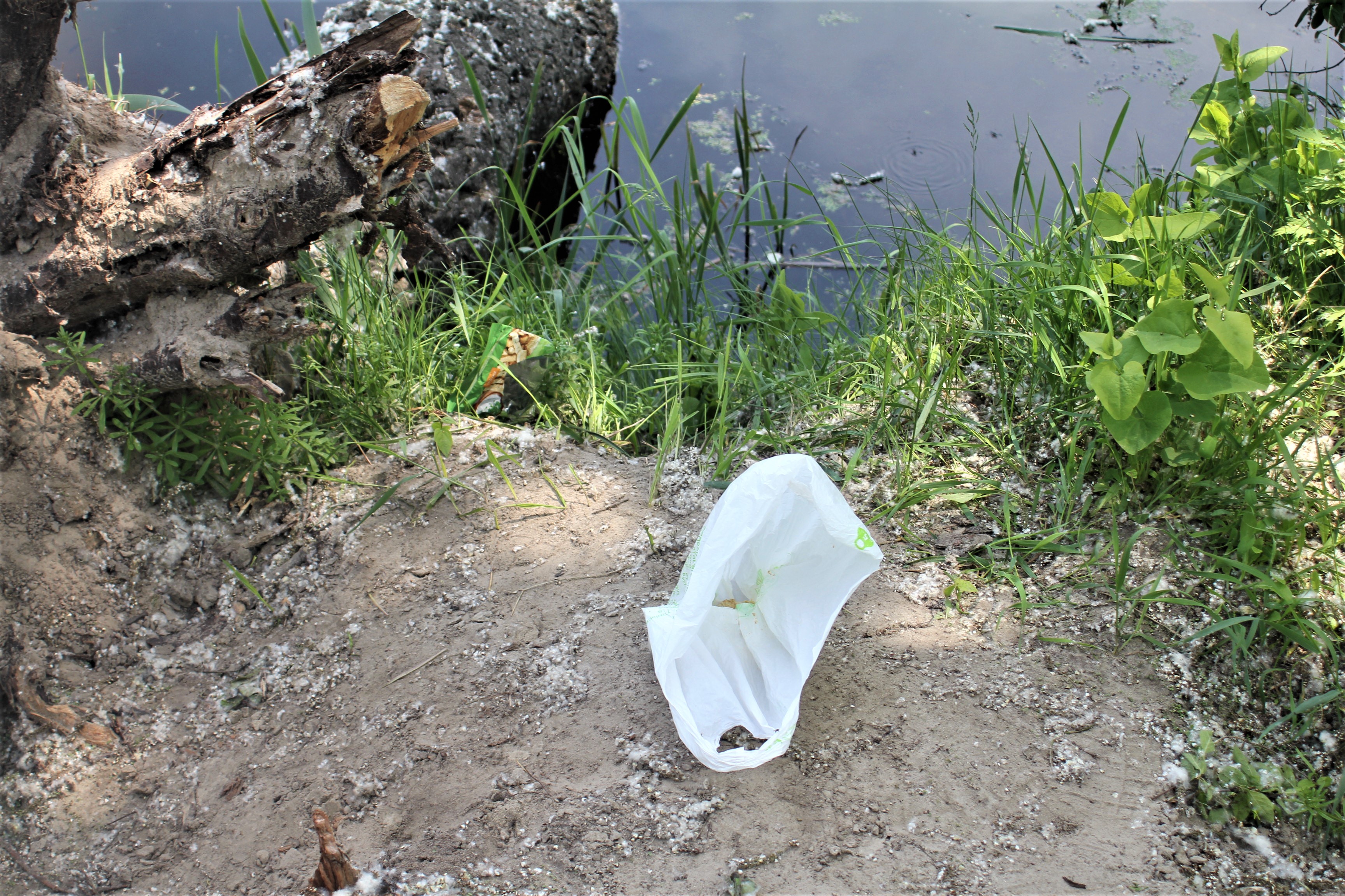 Прирічковий парк після прибирання 