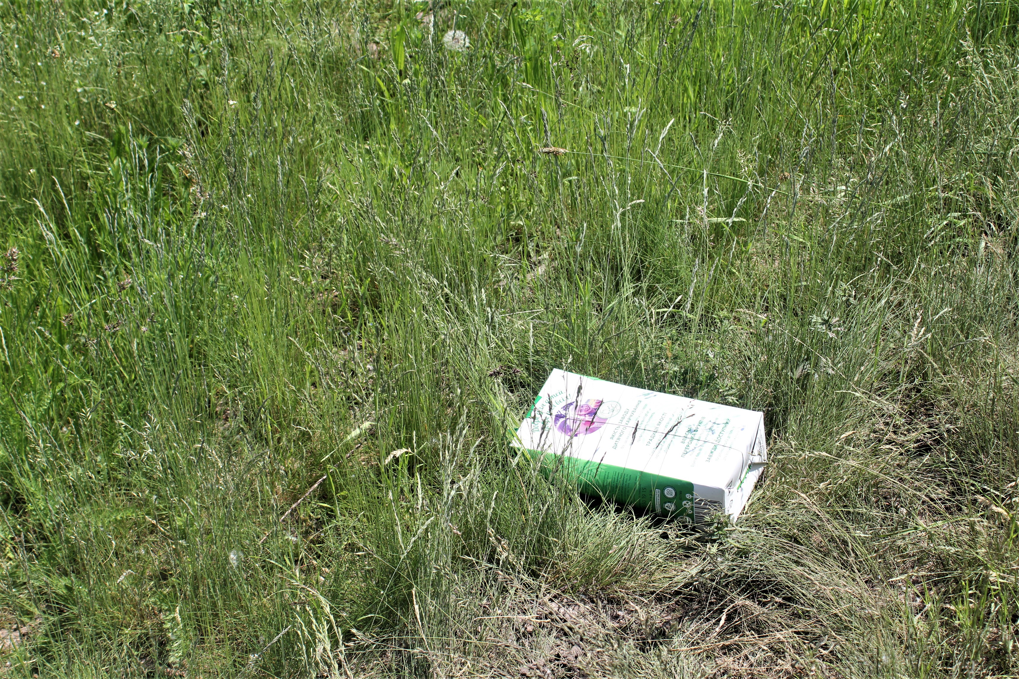 Прирічковий парк після прибирання 