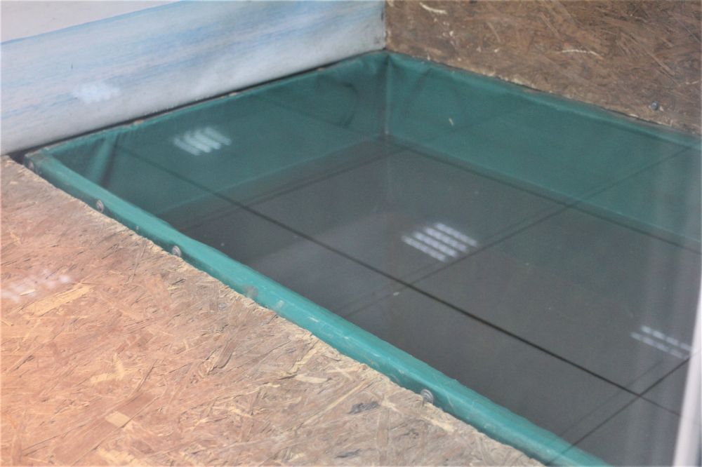 Тваринки на виставці